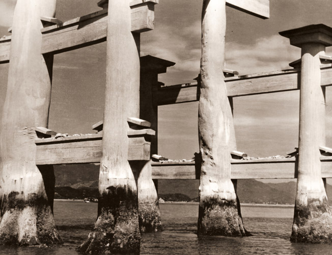 大鳥居 [今西正治, アサヒカメラ 1954年7月号より] パブリックドメイン画像 