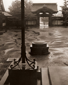 雨の境内 [河合孝, アサヒカメラ 1954年12月号より]のサムネイル画像