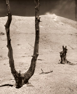 白い山 [江間弘, 1954年, アサヒカメラ 1954年12月号より]のサムネイル画像