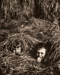干草の中の子供 [アルフレッド・アイゼンスタット, アサヒカメラ 1954年12月号より]のサムネイル画像