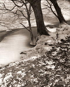 冬の湖畔 [渡部泰夫, アサヒカメラ 1956年2月号より]のサムネイル画像
