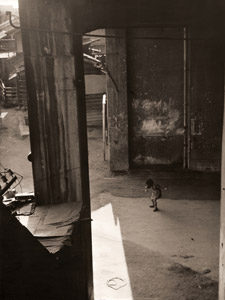 ガード下 [富田隆彦, アサヒカメラ 1956年2月号より]のサムネイル画像