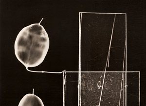 ガラスパターン 1 [アンドレ・テヴネ, アサヒカメラ 1956年02月号より]のサムネイル画像