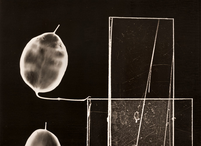 ガラスパターン 1 [アンドレ・テヴネ, アサヒカメラ 1956年2月号より] パブリックドメイン画像 