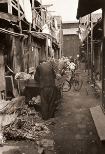 東京のまち 佃島界隈 路地 [木村伊兵衛, アサヒカメラ 1953年8月号より]のサムネイル画像