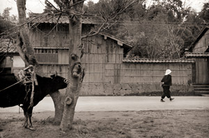 町にて（松江） [植田正治, 日本カメラ 1955年7月号より]のサムネイル画像