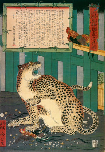 Fierce tiger drawn from life. [Kawanabe Kyosai,  from Exhibition of Kawanabe Kyosai’s Prints and Illustrated Books]