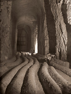 シャンピニヨンを栽培する大トンネル [ピエール・ベルゾー, アサヒカメラ 1953年9月号より]のサムネイル画像