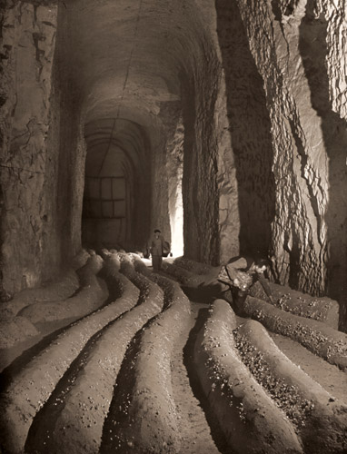 シャンピニヨンを栽培する大トンネル [ピエール・ベルゾー, アサヒカメラ 1953年9月号より] パブリックドメイン画像 