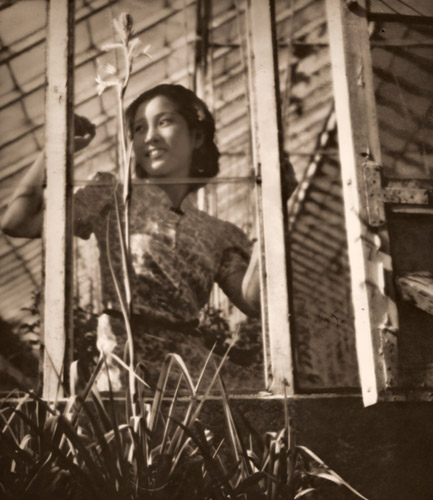 初秋の人物 [熊谷辰男, アサヒカメラ 1939年11月号より] パブリックドメイン画像 