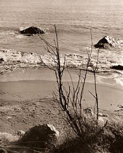 冬の海邊 [大塚由太郞, アサヒカメラ 1939年11月号より]のサムネイル画像