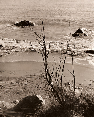 冬の海邊 [大塚由太郞, アサヒカメラ 1939年11月号より] パブリックドメイン画像 