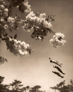 五月 [胡屋茂, アサヒカメラ 1939年5月号より]のサムネイル画像