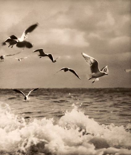 波上を飛ぶ [岡崎伊勢松, アサヒカメラ 1939年5月号より] パブリックドメイン画像 