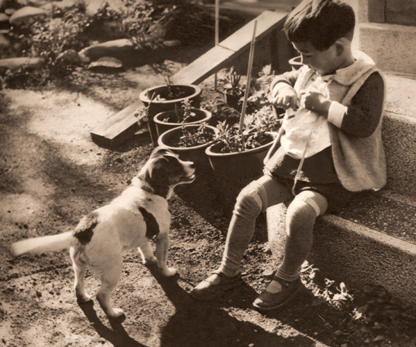 子供と犬 [小池真平, アサヒカメラ 1939年5月号より] パブリックドメイン画像 