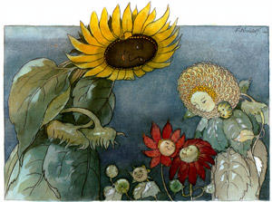 くさはらのこびと 挿絵7 (ヒマワリ夫人とダリヤ夫人） [エルンスト・クライドルフ, 花のメルヘンより]のサムネイル画像