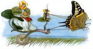 くさはらのこびと 挿絵4 (キンポウゲさんのおでかけ） [エルンスト・クライドルフ, 花のメルヘンより]のサムネイル画像