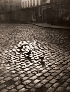 プリーズ・ミッシュ街 [イジス・ビデルマナス, アサヒカメラ 1953年12月号より]のサムネイル画像