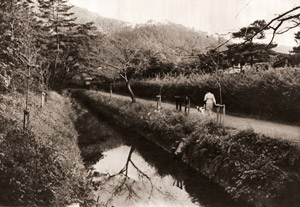 秋の疎水端にて [増田実, アサヒカメラ 1955年10月号より]のサムネイル画像
