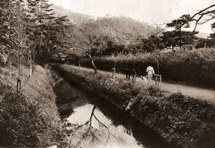 秋の疎水端にて [増田実, アサヒカメラ 1955年10月号より] パブリックドメイン画像 