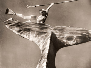 マッコウクジラとロッテ夫人 [ハンス・ハース, アサヒカメラ 1955年10月号より]のサムネイル画像