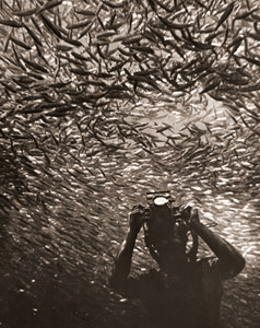 魚群の輪舞 [ハンス・ハース, アサヒカメラ 1955年10月号より]のサムネイル画像