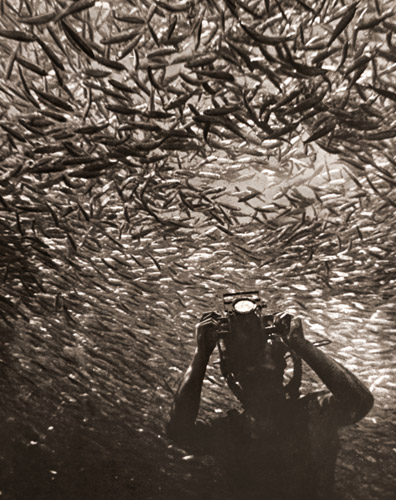 魚群の輪舞 [ハンス・ハース, アサヒカメラ 1955年10月号より] パブリックドメイン画像 
