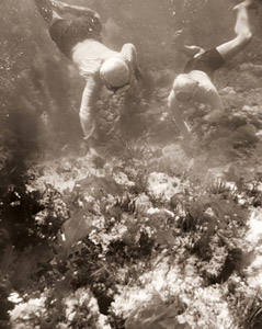 ワカメを刈る海女 [小柳春夫, アサヒカメラ 1955年10月号より]のサムネイル画像