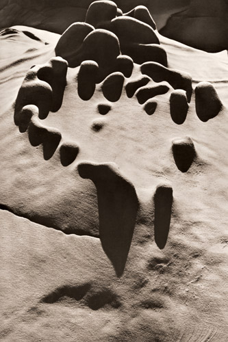 侵略された岩 2 [河野徹, アサヒカメラ 1955年7月号より] パブリックドメイン画像 