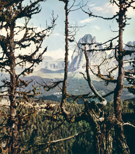 アルプス風景 [A・ミラー, アサヒカメラ 1955年7月号より]のサムネイル画像