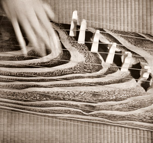 琴弾奏 [福島忠男, カメラ毎日 1954年8月号より]のサムネイル画像