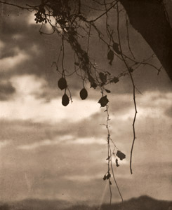 冬の夕暮れ [栗田鶴雄, アサヒカメラ 1939年2月号より]のサムネイル画像