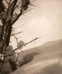 もるゝ光 [田頭良助, アサヒカメラ 1939年2月号より]のサムネイル画像