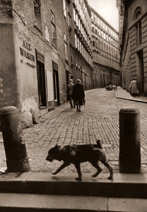 犬のいる裏町 [木村伊兵衛, アサヒカメラ 1956年3月号より]のサムネイル画像