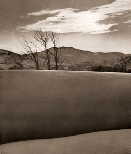 雪の丘 [山本善之介, 1954年, アサヒカメラ 1955年5月号より]のサムネイル画像