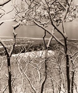 新雪 [辻芳公, アサヒカメラ 1955年5月号より]のサムネイル画像