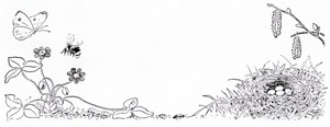 挿絵28 (花に集まる虫たちと鳥の巣の卵） [エルサ・ベスコフ, もりのこびとたちより]のサムネイル画像