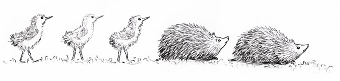 挿絵20 (ふくろう先生の話を聞く鳥の雛たちとハリネズミの子供たち） [エルサ・ベスコフ, もりのこびとたちより] パブリックドメイン画像 