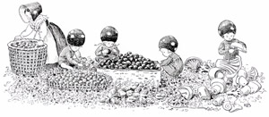 挿絵14 (木の実を綺麗にしたり茸に紐を通す小人の子供たち） [エルサ・ベスコフ, もりのこびとたちより]のサムネイル画像