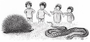 挿絵7 (ハリネズミに蛇を届けた小人の子供たち） [エルサ・ベスコフ, もりのこびとたちより]のサムネイル画像