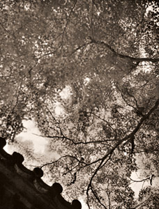 初夏 [江本綾生, アサヒカメラ 1935年6月号より]のサムネイル画像