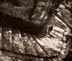 朝の光り [古川計一, 1935年, アサヒカメラ 1935年6月号より]のサムネイル画像
