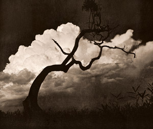 夏来たる [八木常治, 1950年10月号より]のサムネイル画像