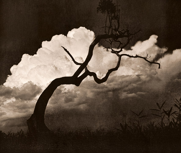 夏来たる [八木常治, アサヒカメラ 1950年10月号より] パブリックドメイン画像 