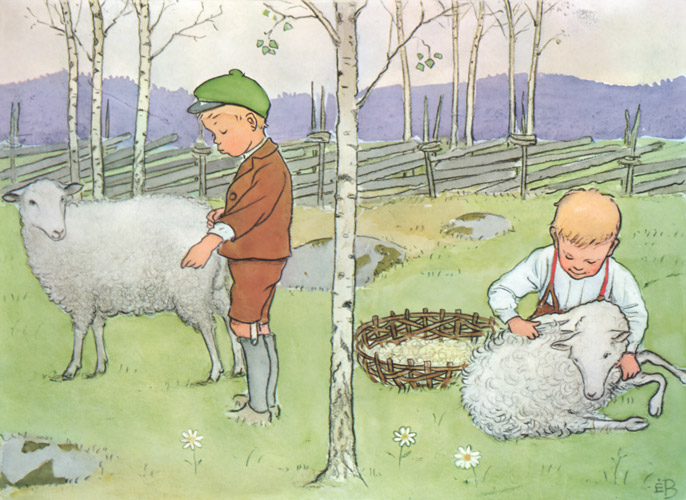 挿絵2 (子羊の毛を刈るペレ） [エルサ・ベスコフ, ペレのあたらしいふくより] パブリックドメイン画像 