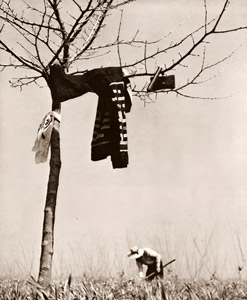 田園 [畠野耕二, アサヒカメラ 1941年9月号より]のサムネイル画像