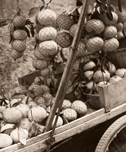 夏みかん [西山清, アサヒカメラ 1941年9月号より]のサムネイル画像