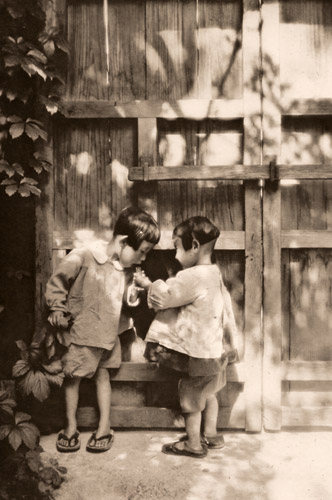 葉もれ陽 [奥山信吾, アサヒカメラ 1940年8月号より] パブリックドメイン画像 