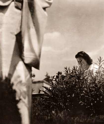 蕾 [近藤包夫, アサヒカメラ 1940年8月号より] パブリックドメイン画像 