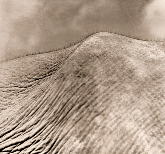 Elephant [Yonetaro Murata,  from Asahi Camera August 1940]